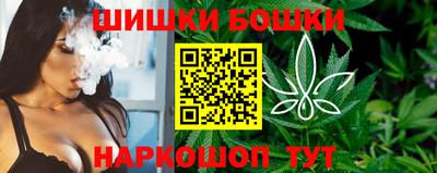 гидропоника Будённовск