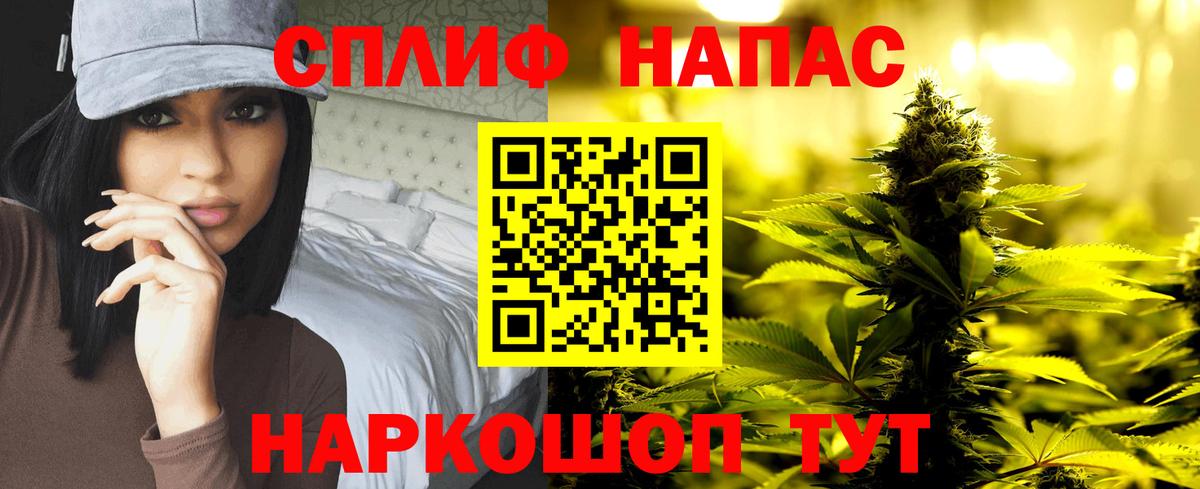 Марихуана сатива  Бошки марихуана план  Новокузнецк  Вход с VPN  Марихуана планчик 
